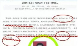 郭主任最新爆料视频播放,事件真相全解析